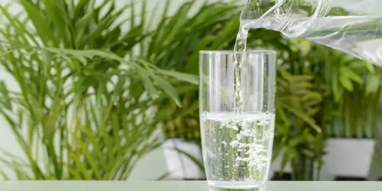 Hydrated Brains, Sharper Minds: The Link Between Electrolytes and Cognitive Wellness
